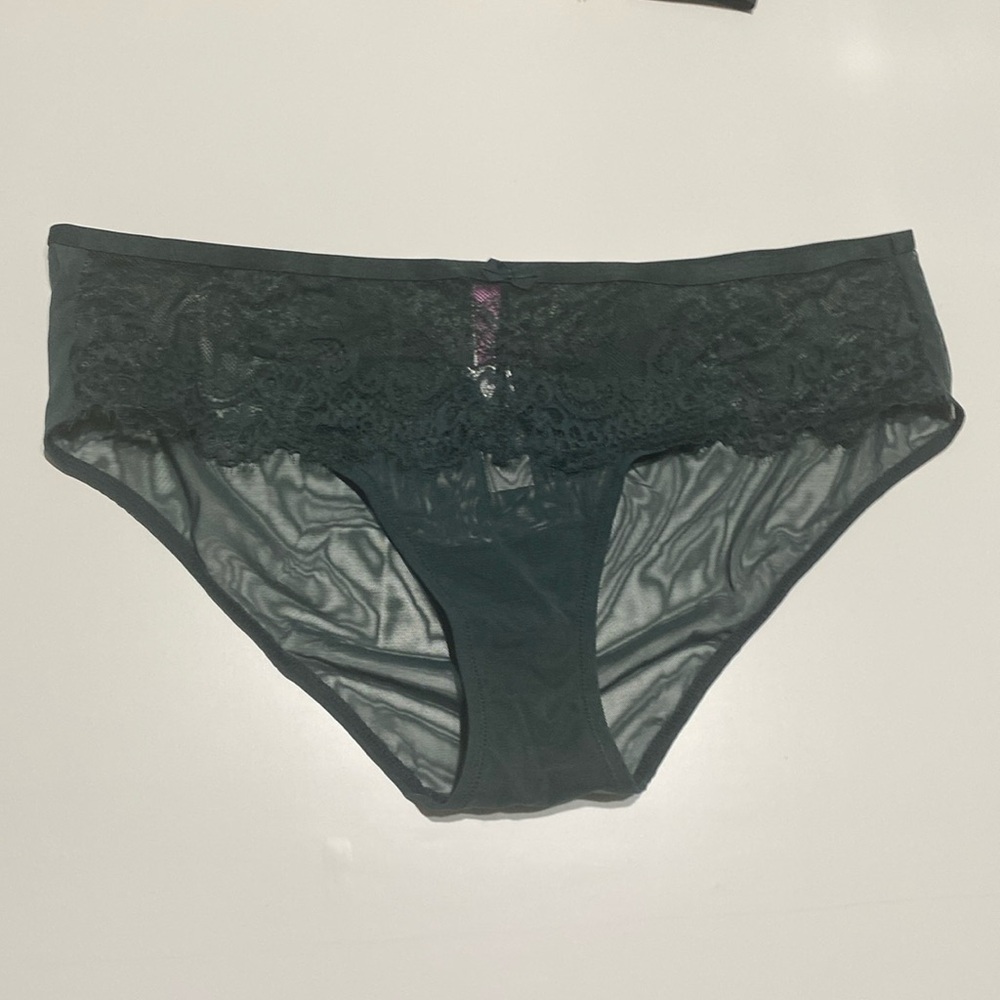 Adore Me Sheer Mesh And Lace Panties